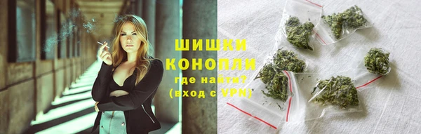 ПСИЛОЦИБИНОВЫЕ ГРИБЫ Верхний Тагил