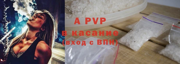 эйфоретик Бородино