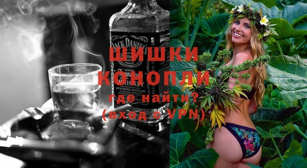 эйфоретик Бородино