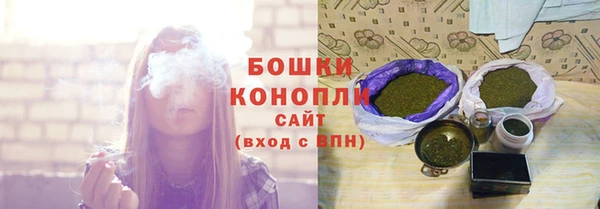 эйфоретик Бородино