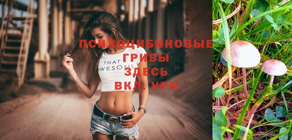 СК Новозыбков