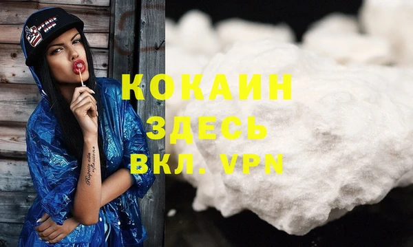 эйфоретик Бородино