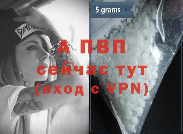 эйфоретик Бородино